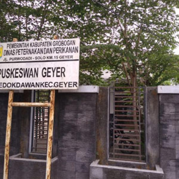 Puskeswan Geyer